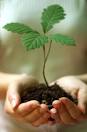 Louth conservation volunteering day - get involved! | DkITimes