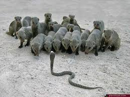 ������ ���� ������ �� ���� ������