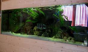 Aquarium von Artur Schumacher: Becken 3627