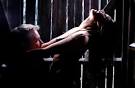 free linni meister sex tapes