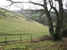 Organic farming practises have yielded an environment rich in wildlife. - via Daymix