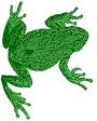 What is a Frog?