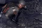 wmd-coal-mine | NEWS JUNKIE POST