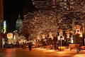 Denver travel guide - Wikitravel