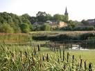 Wetland, Wath-upon-Dearne - via Daymix