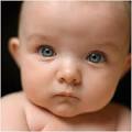 Vegan Babies: The New Trend .