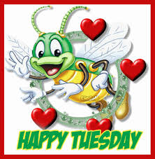 images?q=tbn:ANd9GcTBRLnK2trp9zzOlvQ3WESkvYwLXV6xkfm6troT1mUTUVY0q-2B