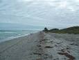 John U. Lloyd Beach State Park - Wikipedia, the free encyclopedia