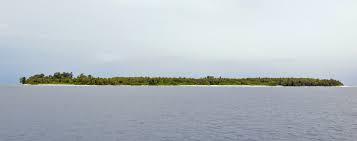 Ariadhoo