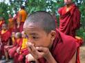 HowABI -
