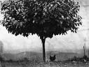 Edouard Boubat