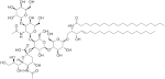 File:GM1 ganglioside.png - Wikipedia, the free encyclopedia