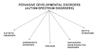 About Autism and ASD | Center for Autism Spectrum Disorders