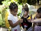 Butterfly Exhibit Mesmerizes at Natural History Museum | New York ...