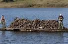 Point Reyes oyster farm decision near - SFGate