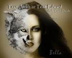 Twilight Series Bella wolf/