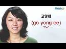 How to Say "Cat" in Korean. How to Say "Cat" in Korean