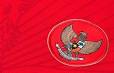 Cavalera Sports