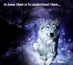 images?q=tbn:ANd9GcTDGIe4H0y9-FJlClnhAZbAOUoei--D_K024xvDqcdYyPpope4PyA