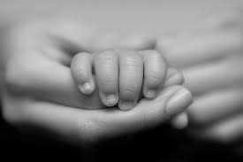 Non-Profit Insurance Can be a Savior