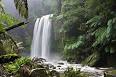 Conservation movement - Wikipedia, the free encyclopedia