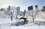 Snow storm warning for much of upstate New York - NY Daily News
