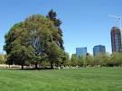 The Seattle Traveler » Photo Op: Bellevue Community Park