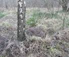 Mole fortress on Tummel - via Daymix