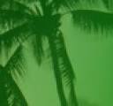 Exhibitionists & Voyuers, Check Out MyFreeCams for Android Sex App Fun