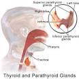 What are autoimmune thyroid disorders? - Sharecare