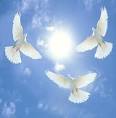 FAQs Phila White Birds Dove Release Philadelphia PA Pennsylvania ...