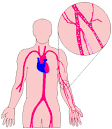 <b>Decompression</b> Sickness