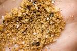 Turmeric-Curry Dry Rub « Scott's Food Blog