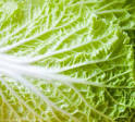 Napa Cabbage: 5 Healthy Uses and Nutrition Facts. - Healthy. Happy ...