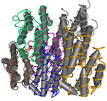 Interferon - Wikipedia, the free encyclopedia