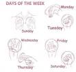 ASL Days of the Week