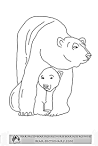 Polar Bear coloring page