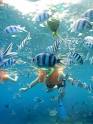Hanauma Bay Snorkeling