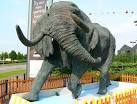 Elephant, Swindon Designer - via Daymix