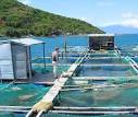 Fisheries have no more place to expand on Earth