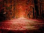 Description of Autumn « The Hare Krishna Movement