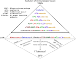 Immunosuppression for liver transplantation -- Geissler and ...