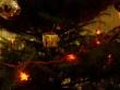 DSC05496.JPG 11 December 2006 - via Daymix