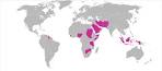 File:Map of judicial corporal punishment .svg - Wikipedia, the free ... 
