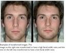 Measuring Faces: Trustworthiness and Facial Features | Psychology ...