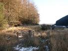 Forestry Access Gate. The gate is on the edge of Hafren Forest and provides - via Daymix