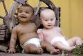 Gallery: Rare Black And White Twins Not Really That Rare