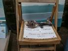 Wolf-fish or Catfish. Displayed in the Visitor's Centre at Inner Farne. - via Daymix