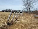 Caching At Cole Harbour Heritage Park | Geocaching Online