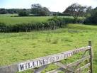"Please Shut the Gate" is a countryside mantra but this one was open. - via Daymix